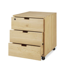 Load image into Gallery viewer, Billy Drawer Unit - Hausful
