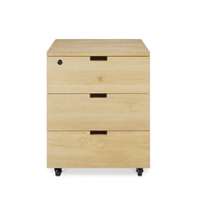 Load image into Gallery viewer, Billy Drawer Unit - Hausful