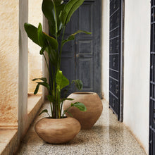 Load image into Gallery viewer, Dodu Pot - Tall - Hausful