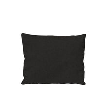 Load image into Gallery viewer, Outdoor Scatter Pillow - Sunbrella fabric - Hausful