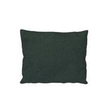 Load image into Gallery viewer, Outdoor Scatter Pillow - Sunbrella fabric - Hausful