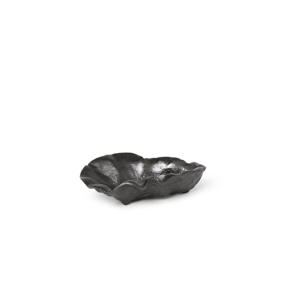Oyster Dish – Hausful
