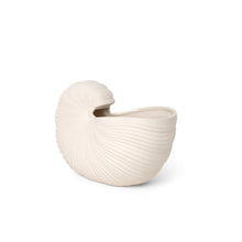 Load image into Gallery viewer, Shell Pot / Vase - Hausful
