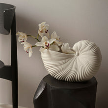 Load image into Gallery viewer, Shell Pot / Vase - Hausful