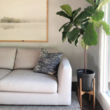 Load image into Gallery viewer, Cello Sofa 96" - Hausful