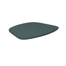 Load image into Gallery viewer, Paon Chair Cushion - Hausful