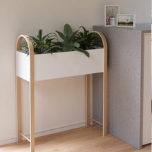 Load image into Gallery viewer, Grove Storage Planter - Hausful - Modern Furniture, Lighting, Rugs and Accessories (4568473894947)