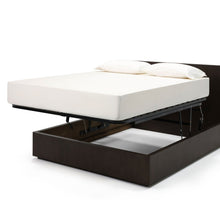 Load image into Gallery viewer, Grove Lift Storage Bed - Hausful