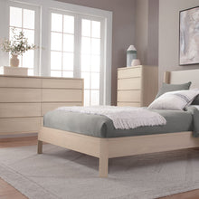 Load image into Gallery viewer, Curva Master Chest - Hausful