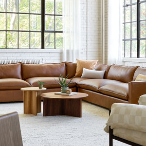 Sola Bi-Sectional