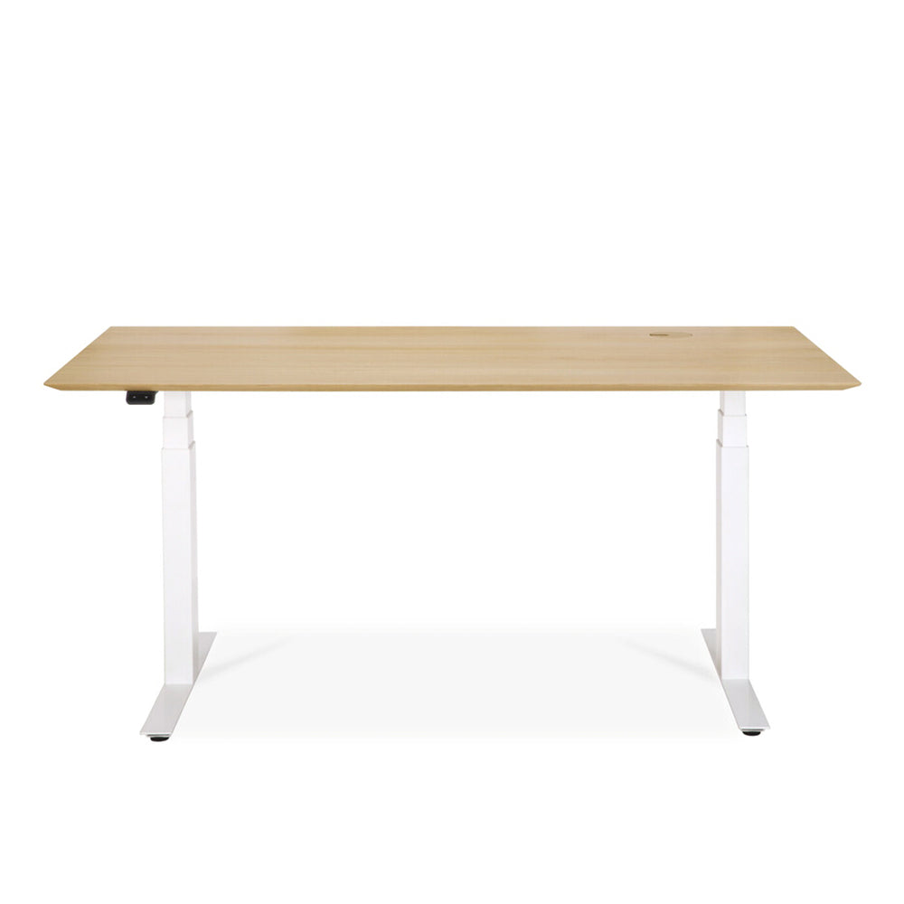 Bok Adjustable Desk