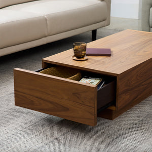 Boom 2-Drawer Coffee Table - Hausful