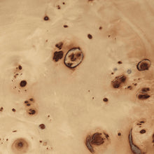 Load image into Gallery viewer, Burl Storage Coffee Table - Hausful