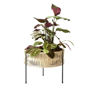 Umanoff Planter - Hausful