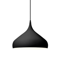 Load image into Gallery viewer, Spinning Pendant Lamp - 16&quot;