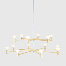 Load image into Gallery viewer, Root Chandelier - 2 Tier - Hausful