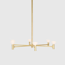Load image into Gallery viewer, Root Chandelier - 1 Tier - Hausful
