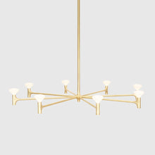 Load image into Gallery viewer, Root Chandelier - 1 Tier - Hausful