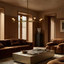 Load image into Gallery viewer, Root Chandelier - 1 Tier - Hausful