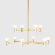 Load image into Gallery viewer, Root Chandelier - 2 Tier - Hausful