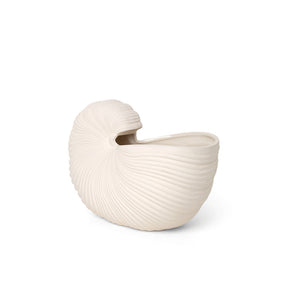 Shell Pot / Vase - Hausful