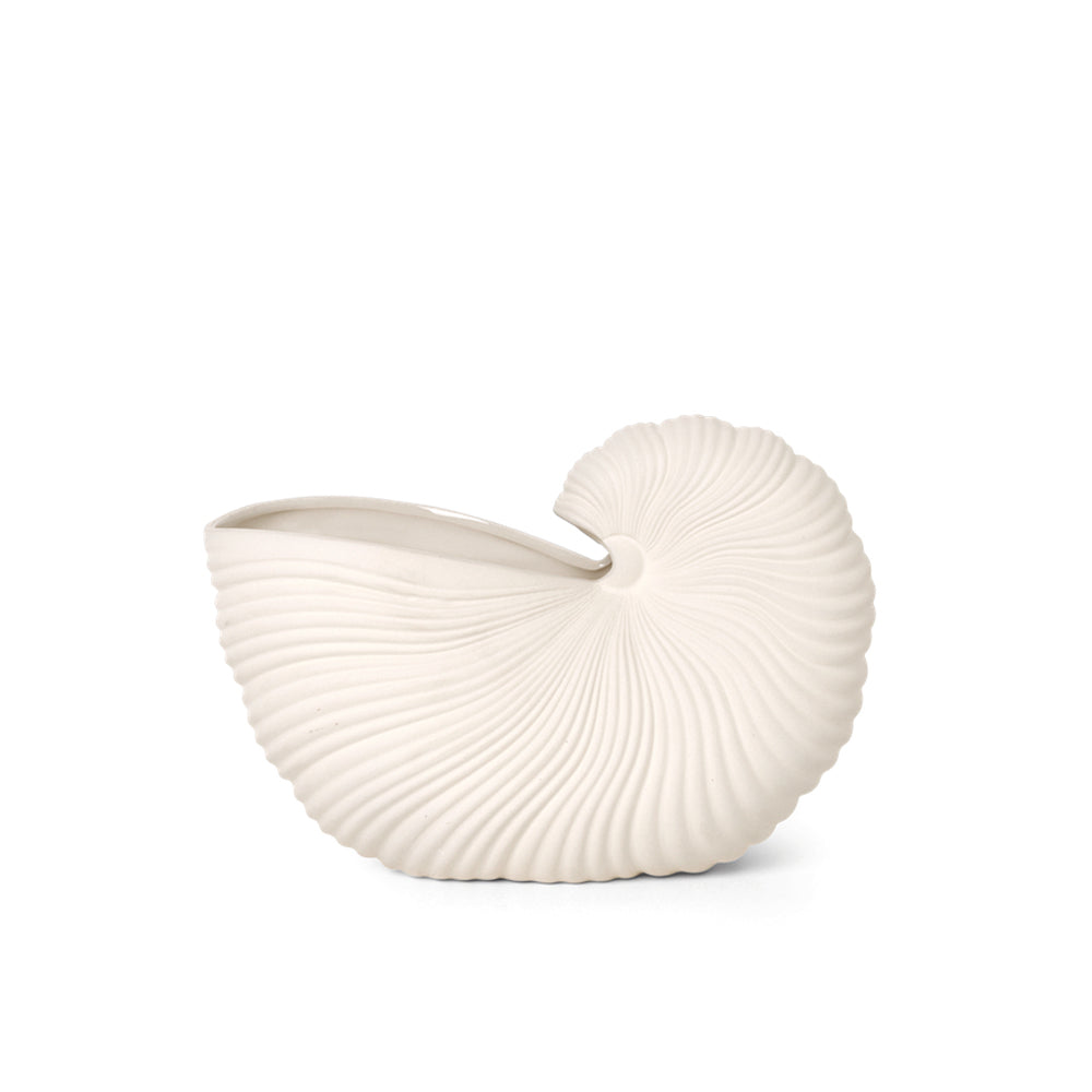 Shell Pot / Vase - Hausful