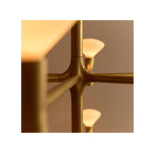 Load image into Gallery viewer, Root Chandelier - Hausful