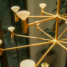 Load image into Gallery viewer, Root Chandelier - Hausful