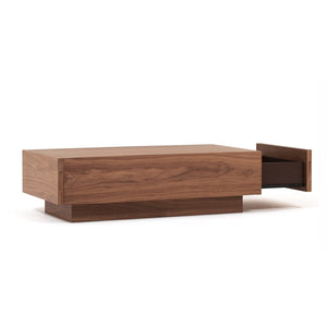 Boom 2-Drawer Coffee Table - Hausful - Modern Furniture, Lighting, Rugs and Accessories (4470219964451)