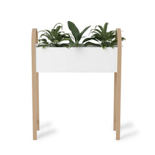 Load image into Gallery viewer, Grove Storage Planter - Hausful - Modern Furniture, Lighting, Rugs and Accessories (4568473894947)
