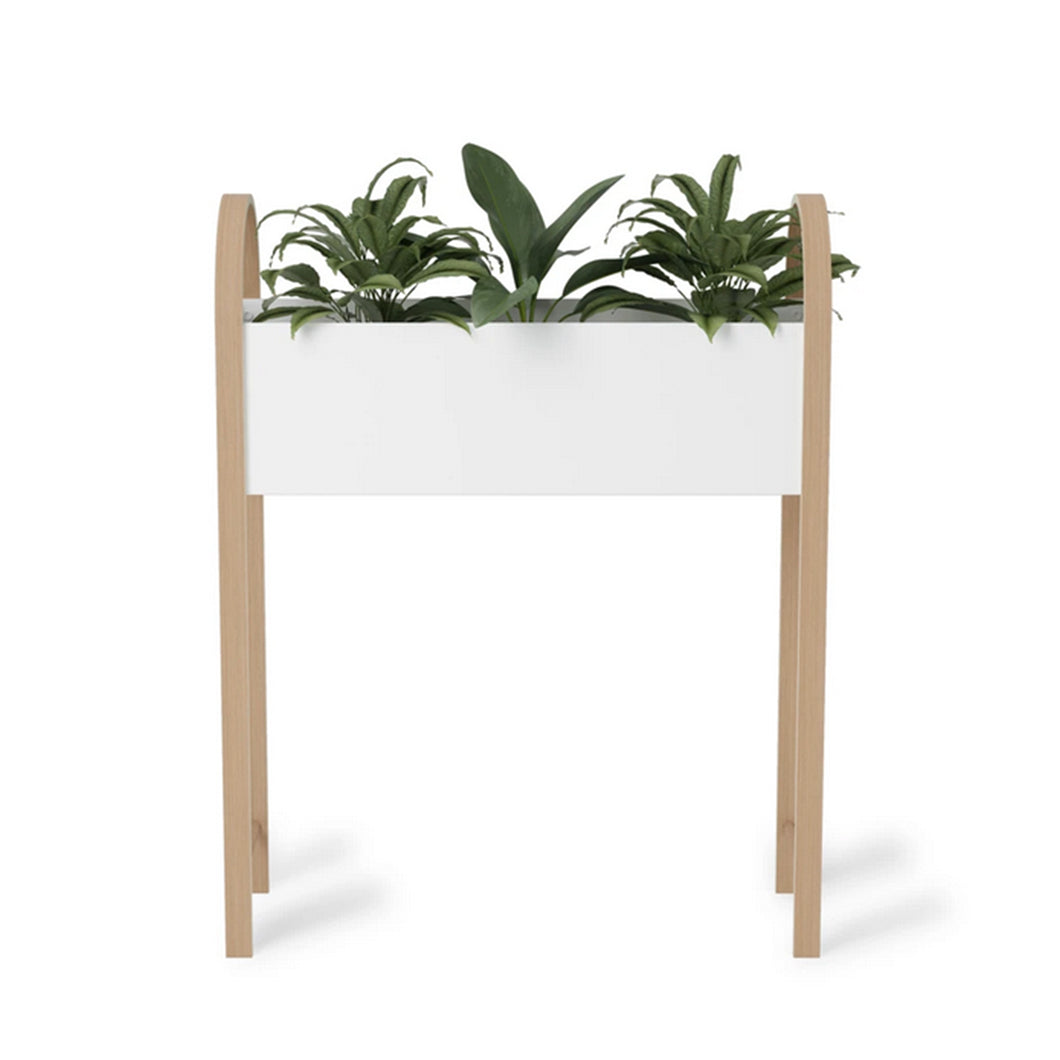Grove Storage Planter - Hausful - Modern Furniture, Lighting, Rugs and Accessories (4568473894947)