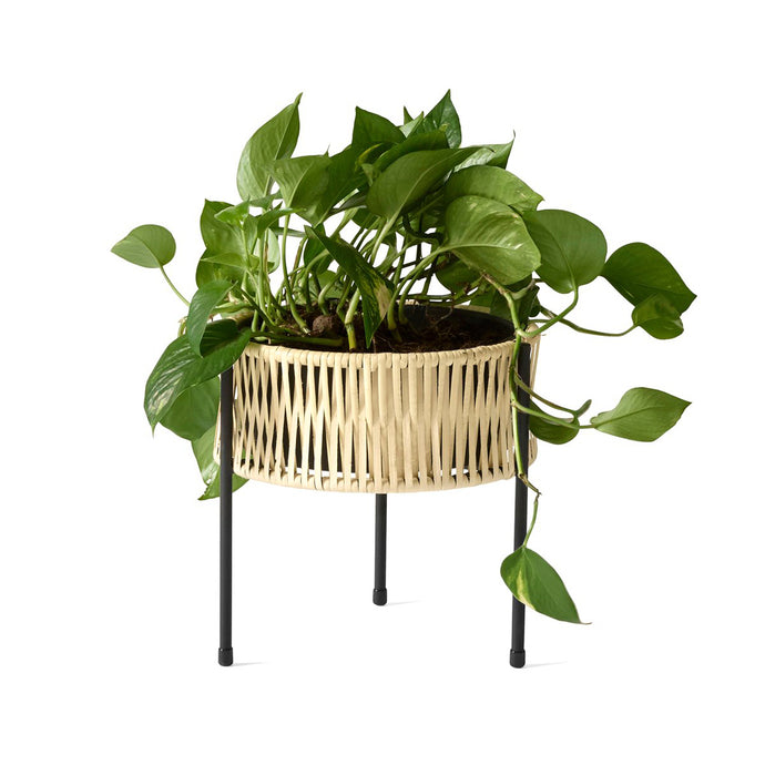 Umanoff Planter - Hausful