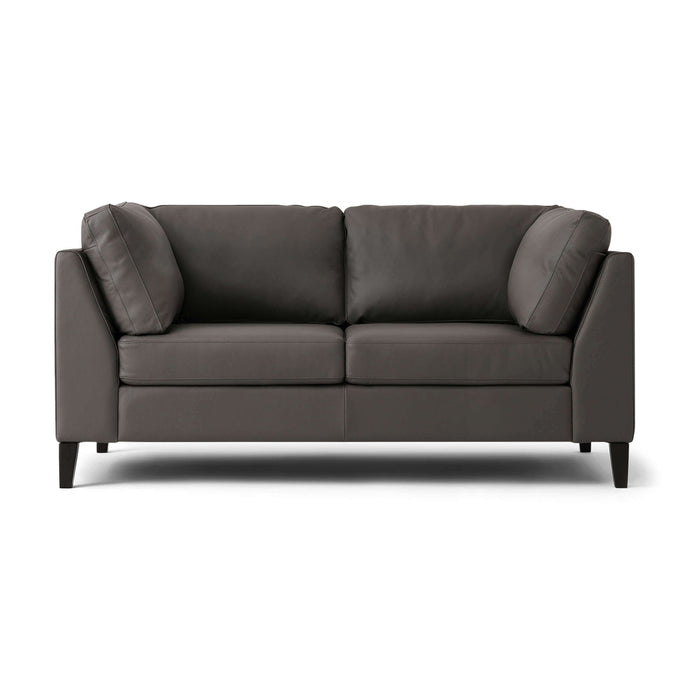 Salema Loveseat - Leather - Hausful - Modern Furniture, Lighting, Rugs and Accessories (4470212624419)